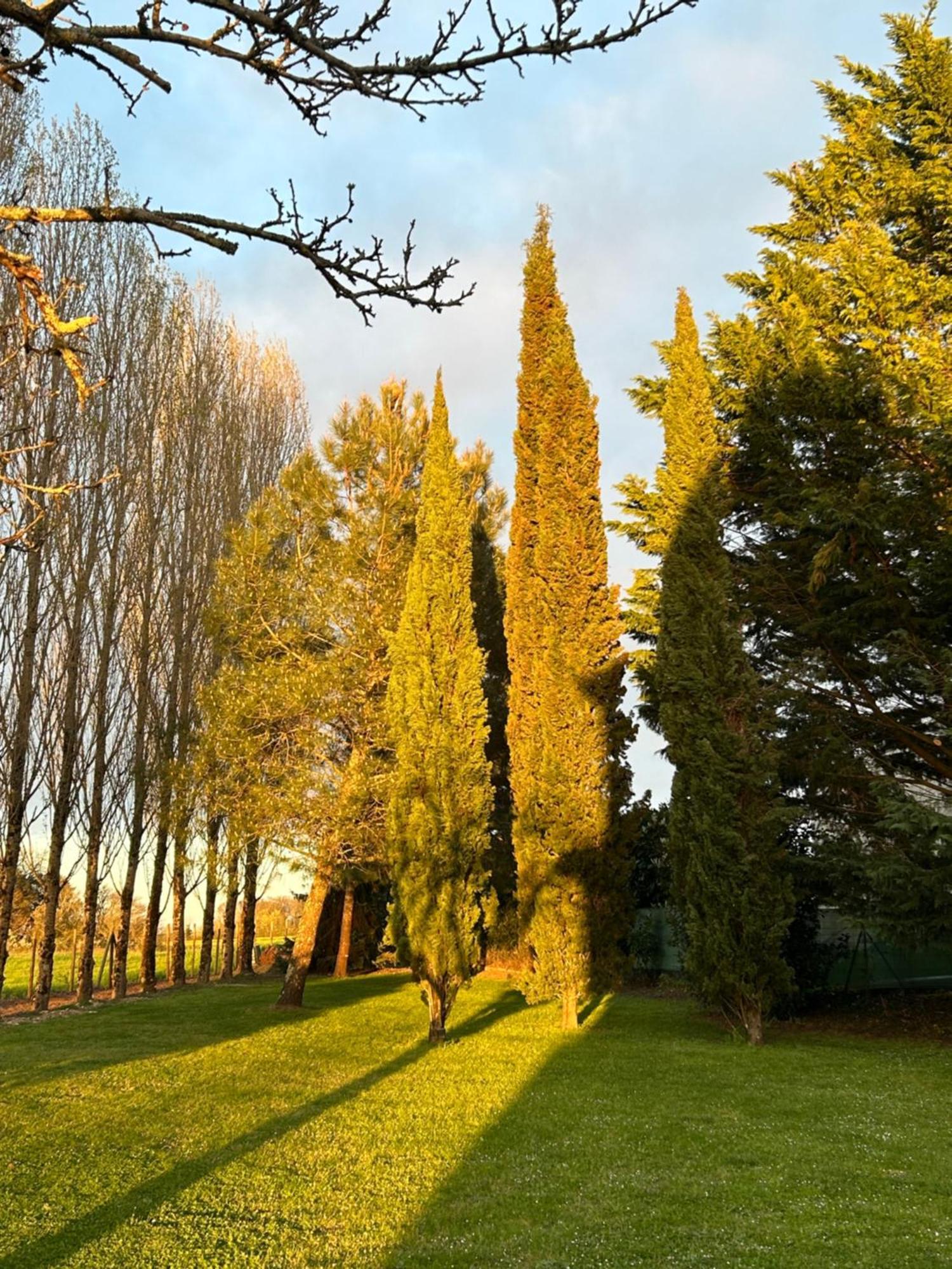 Domaine De La Gemoliere Bed & Breakfast Gémozac Exterior photo